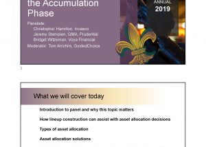Asset Allocation Techniques during the Accumulation Phase