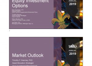 Equity Investment Options