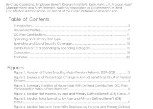 Spending and Saving Behavior of Public-Sector Defined Contribution Plan Participants