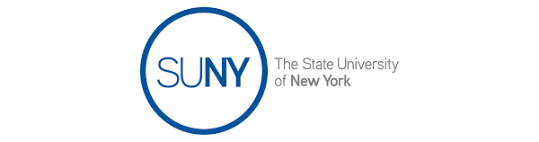 The State University of New York (SUNY) - Custom Target Date Fund - STARS