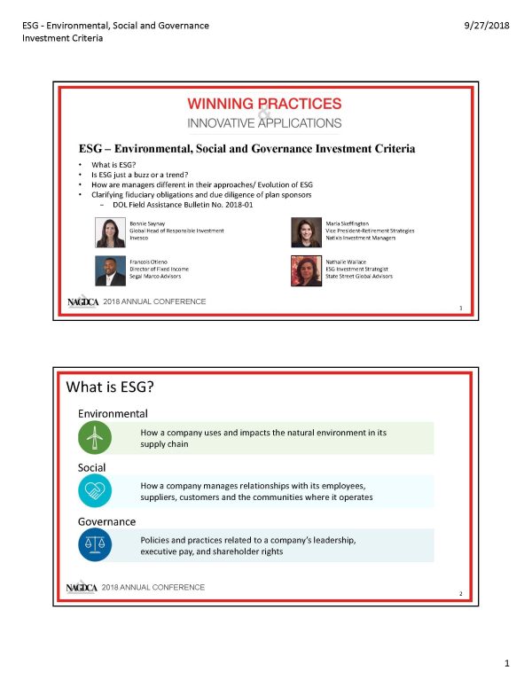 ESG - Environmental, Social and Governance Investment Criteria
