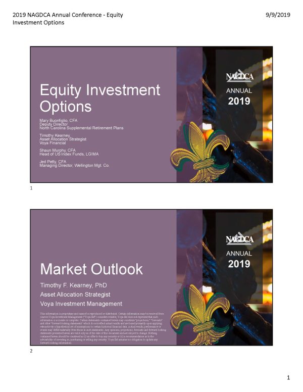 Equity Investment Options