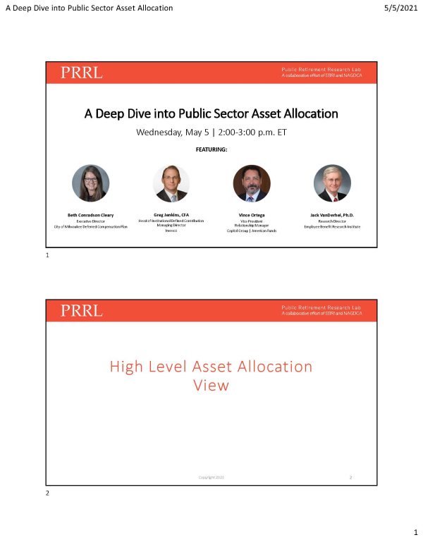 A Deep Dive into Public Sector Asset Allocation