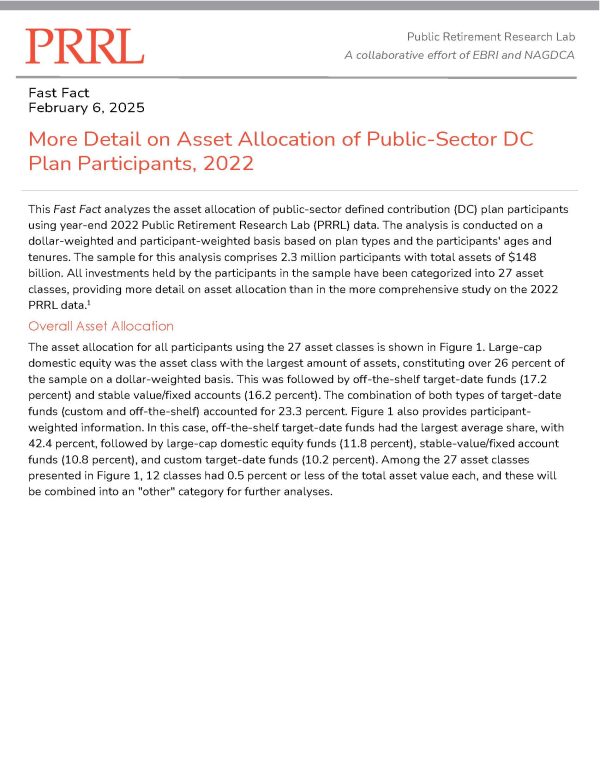 Fast Fact | More Detail on Asset Allocation of Public-Sector DC Plan Participants, 2022